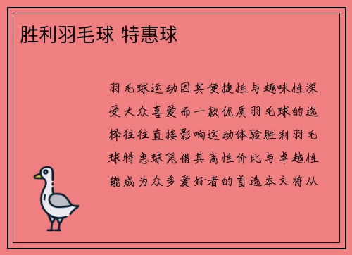 胜利羽毛球 特惠球