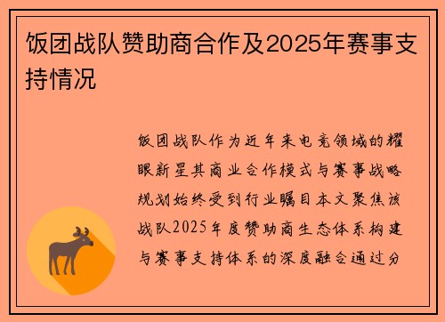 饭团战队赞助商合作及2025年赛事支持情况